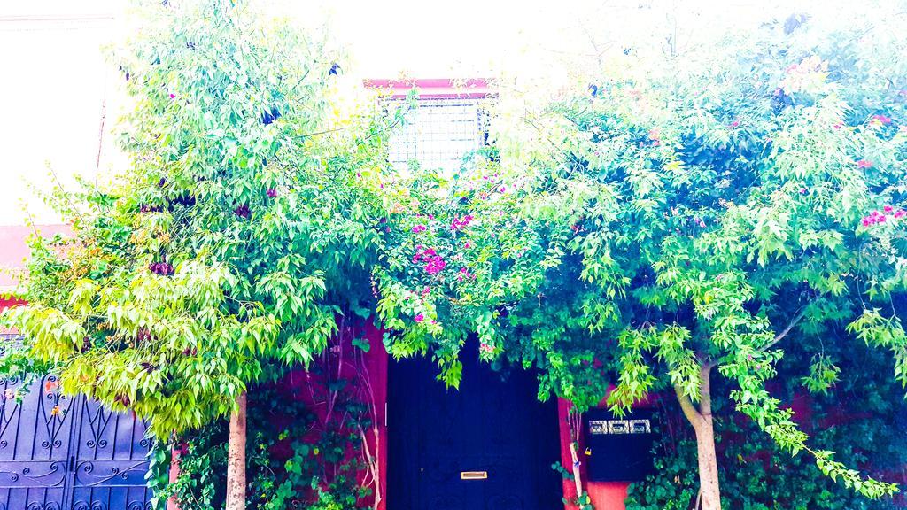 Villa Annakhil 马拉喀什 外观 照片